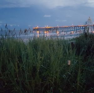 Meet your Posher, Rick